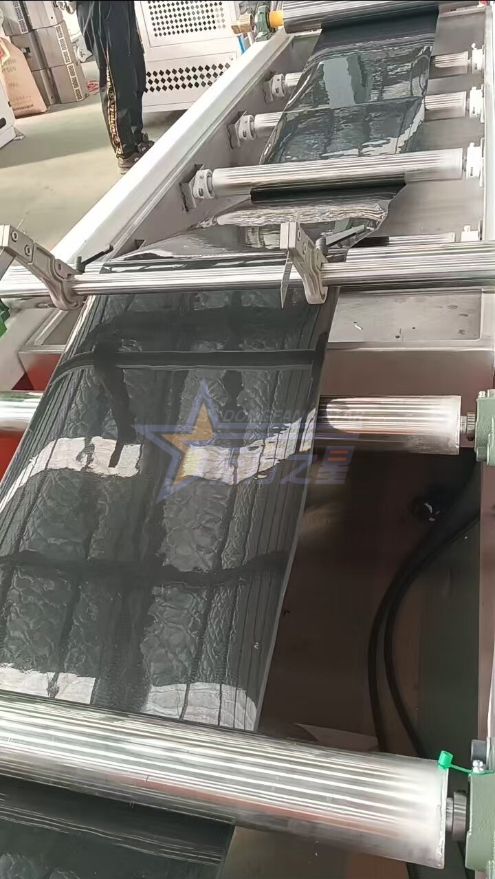 Stranka obišče tovarno Qingdao EASTSTAR za poskusno zagon proizvodne linije za pladnje za sadike PP/PS na kraju samem